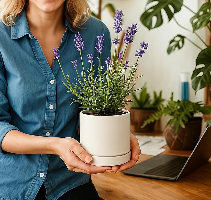 D'vine Dev 4.7 Inch Ceramic Planter Pot with Drainage Hole and Saucer, Indoor Cylinder Round Planter Pot, White, 94-O-B-1