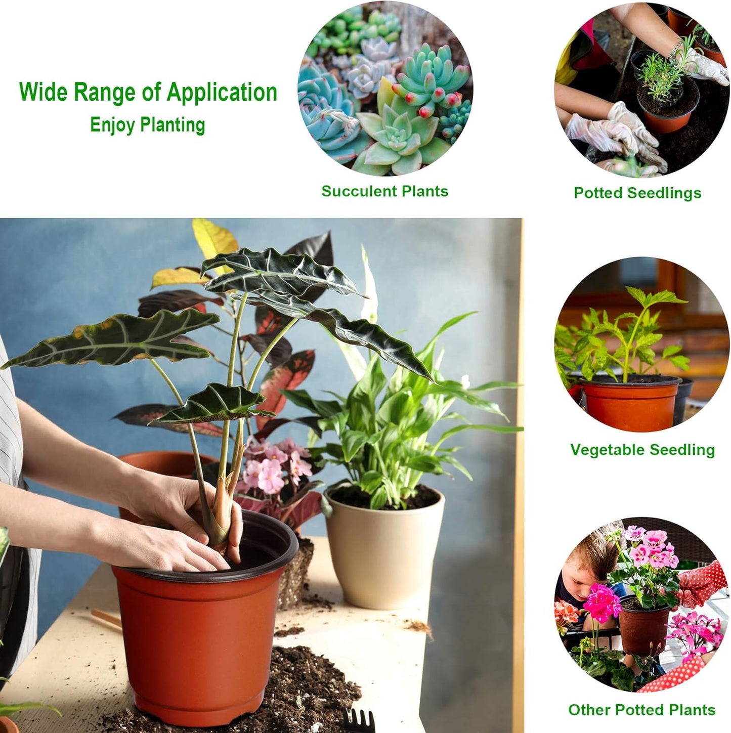 Augshy 75 Pcs 6" Plastic Plants Nursery Pot, Indoor Outdoor Seed Starting Pots