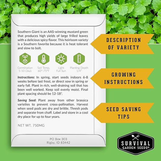 Southern Giant Mustard Green Seeds for Planting – Heirloom Non-GMO Spicy Greens, Heat Tolerant and Slow to Bolt for Home Vegetable Gardens - Survival Garden Seeds (3 Packs)