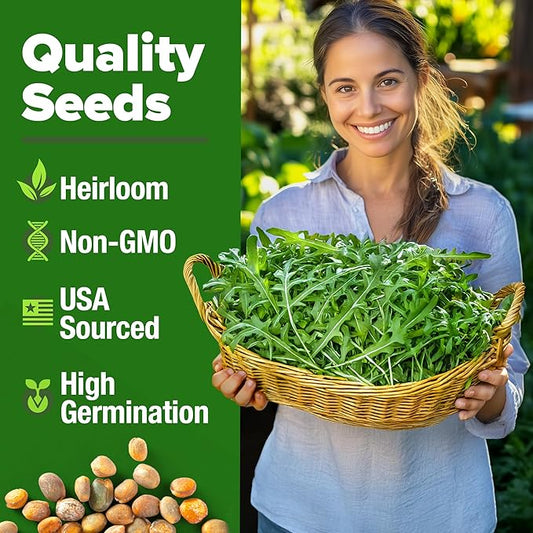 HOME GROWN 𝗨𝗦𝗔 𝗣𝗥𝗘𝗠𝗜𝗨𝗠 Arugula Roquette Seeds Pack 2,175 𝗡𝗢𝗡-𝗚𝗠𝗢 Heirloom Arugula Seeds for Planting Best for Outdoor Gardens,Providing Fast-Growing Greens for Salads - Eruca vesicaria