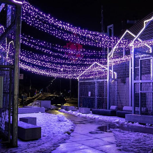 Solar String Lights for Outside, 72Ft 200 LED Solar Fairy Lights with 8 Modes, Solar Powered Fairy Lights Waterproof for Waterproof for Christmas Tree Garden Party Wedding Decor.(Purple)