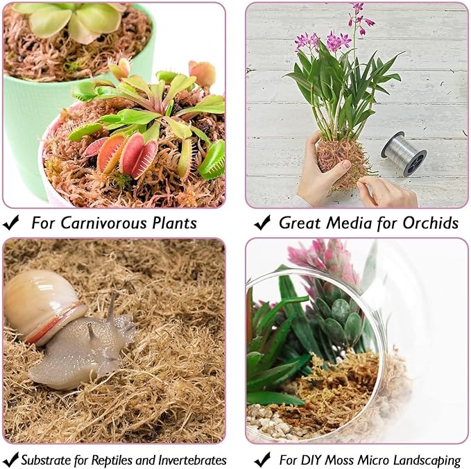 Halatool 1.1LBS Sphagnum Moss for Orchids, Plants, Succulent, Carnivorous, 25QT Natural Dried Long Fiber Sphagnum Moss Bulk for Moss Pole, Moss for Plants Indoor and Outdoor Growing Media