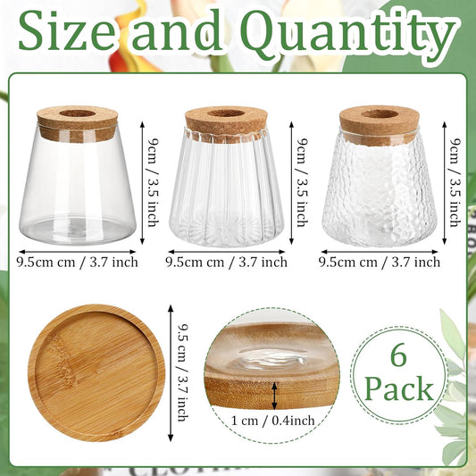 6 Pcs Plants Propagation Station Separated Desktop Plant Terrarium with Wood Lid and Stand, 3 Sizes Glass Planter Propagated Jars Propagation Vases for Indoor Home (Cute Style)