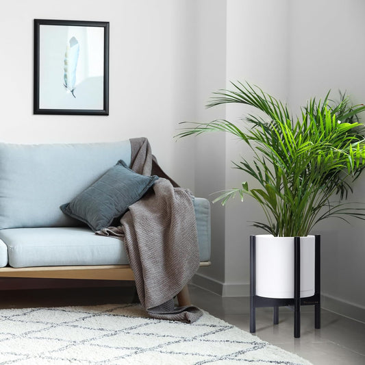 D'vine Dev Planter Pot with Stand - 10 Inch Plastic Cylinder Flower Pot with Wood Planter Holder for Indoor, Matte White Pot + Ebony Stand, 55-C-N-1