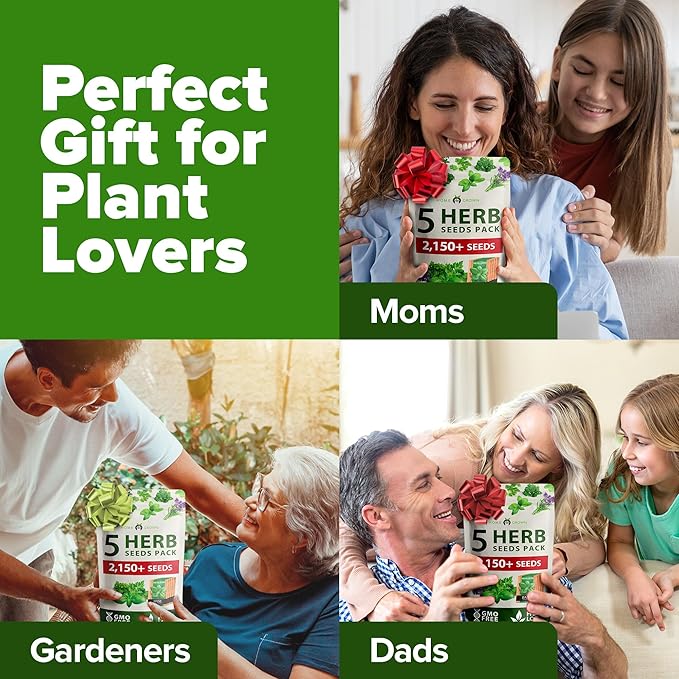 HOME GROWN 5 Herb Seeds for Planting 2,150+ Non-GMO Heirloom Seeds | Extra Large Variety Pack Herb Kit β Indoor Outdoor & Hydroponic | Culinary Seed Set | Grow Your Own Herbs | Gift for Beginners