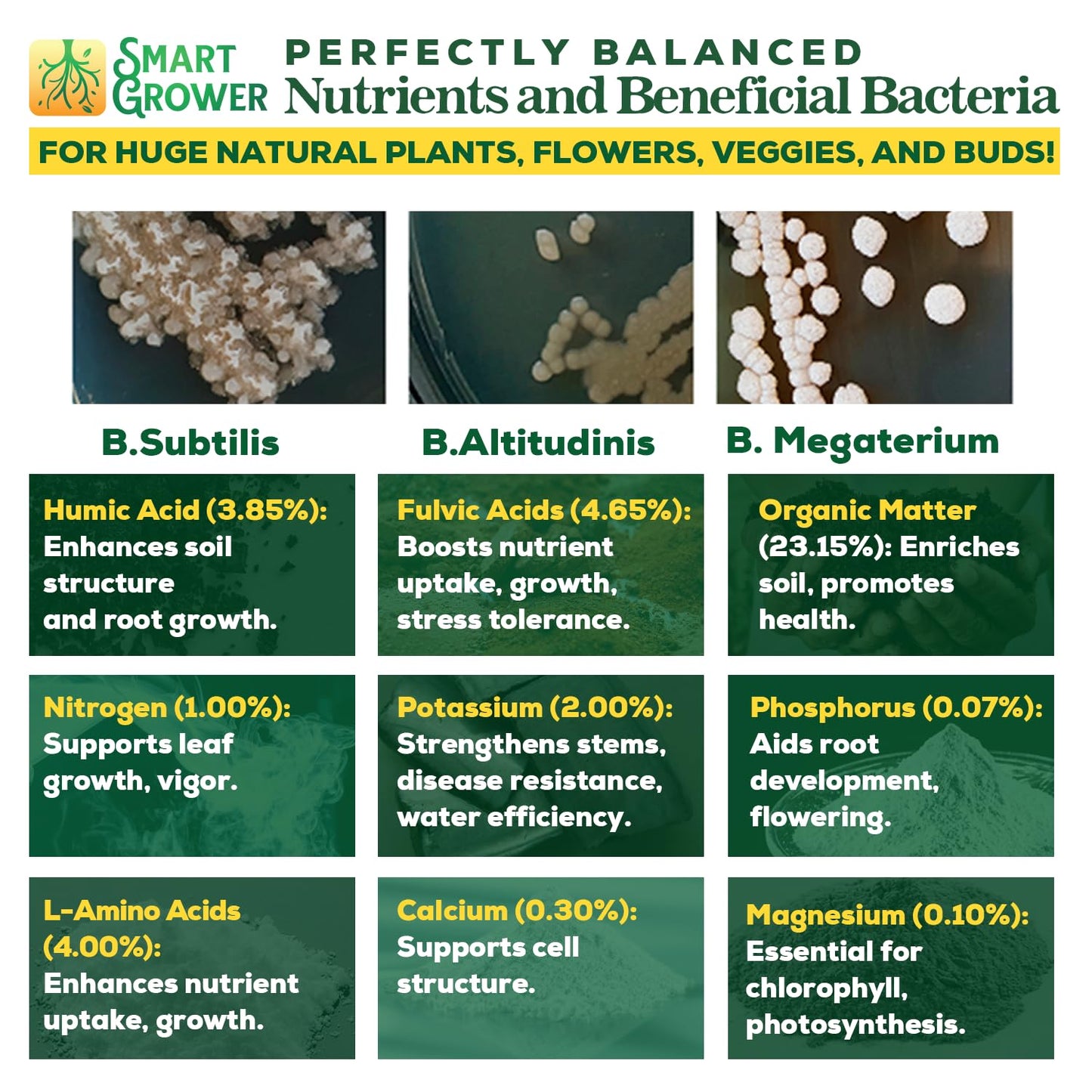 Organic Liquid Plant Food for Indoor Plants & Gardens, Natural NPK Fertilizer w/Beneficial Microbes, Rapid Results, Vegan, Best Value Super Concentrate, Smart Grower, Makes 80 Gallons (16 Fl Oz)