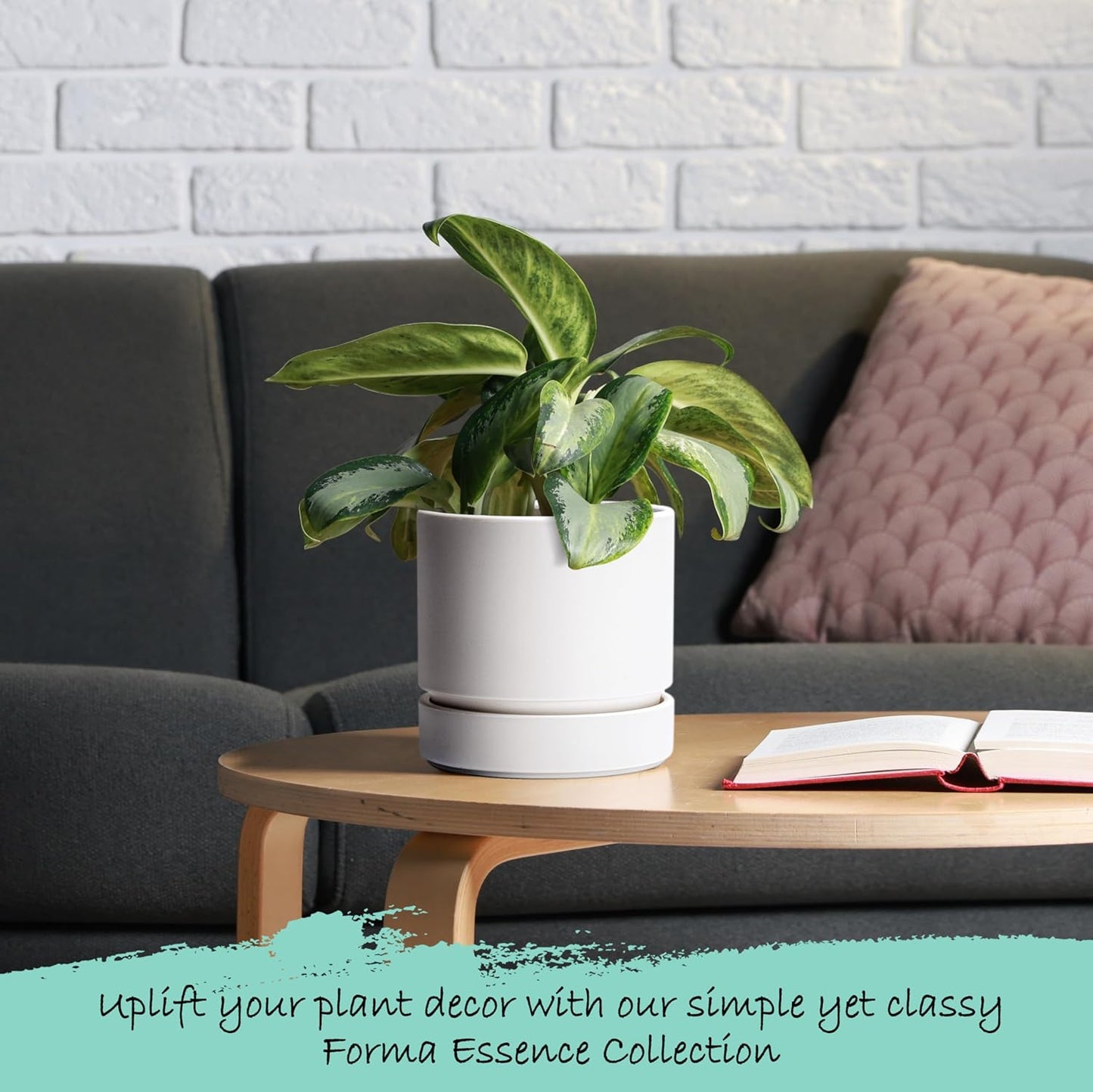 Phoenix Vine 6 Inch Planter Pot with Drainage Hole & Saucer, Deep Water Catch Tray, Straight Cylindrical Round Pot for Plants, Matte White, Pack of 3, 23-B-S-3