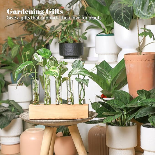 KAXYEW Plant Propagation Station, Plants Propagation Tubes, Gifts for Plant Lovers, Plants Cutting Holder Test Tube Vase Office Desk Garden Décor Gift for Her Mom Women Hydroponic Vase New Gift Box