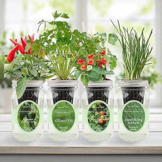 Hydroponic Mason Jar Indoor Garden Organic Seed Starter Kits - Taste of Asia Garden Growing Kits, Gardening Gift (Sweet Nardello Pepper, Mint, Thai Basil, Cilantro)