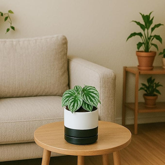 D'vine Dev 4.7 Inch Ceramic Planter Pot with Drainage Hole and Saucer, Indoor Cylinder Round Planter Pot, Layered Monochrome Black & White, 94-O-B-L