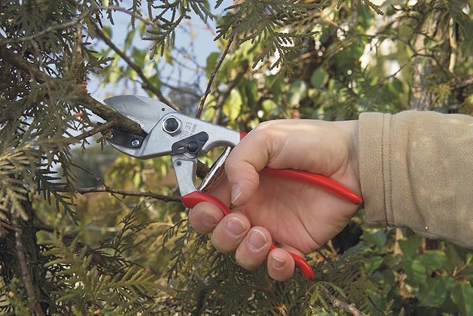 Felco F31 Pruning Shears – 8.3" Garden Clippers with Anvil Blade for Dry & Hard Wood | Hand Pruner for Gardening | Garden Tool Cutter with Aluminum Handle, Alloy Steel Blade, High-Torque Cutting Power