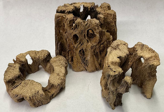 3 Natural Cholla Wood Air Plant Display Holders Individually Unique Round Decorative Stands (3 Pack Cholla Rounds)