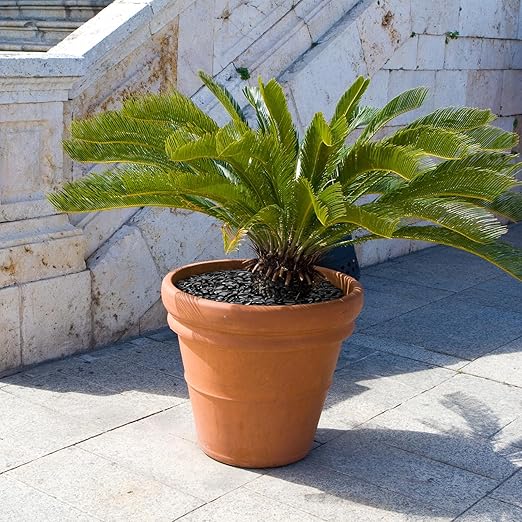 15 lbs Black Rocks for Planters, 1"-2" Decorative River Rocks for Plants, Flower Pots, Vase, Polished Garden Stones for Outdoor Landscaping, Walkways, Yard