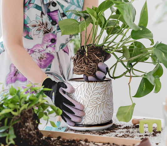 D'vine Dev 6 Inch Embossed Leaves Stoneware Planter Pot with Drainage Hole and Saucer, Smoked White, Set of 1, 27-A-X-1