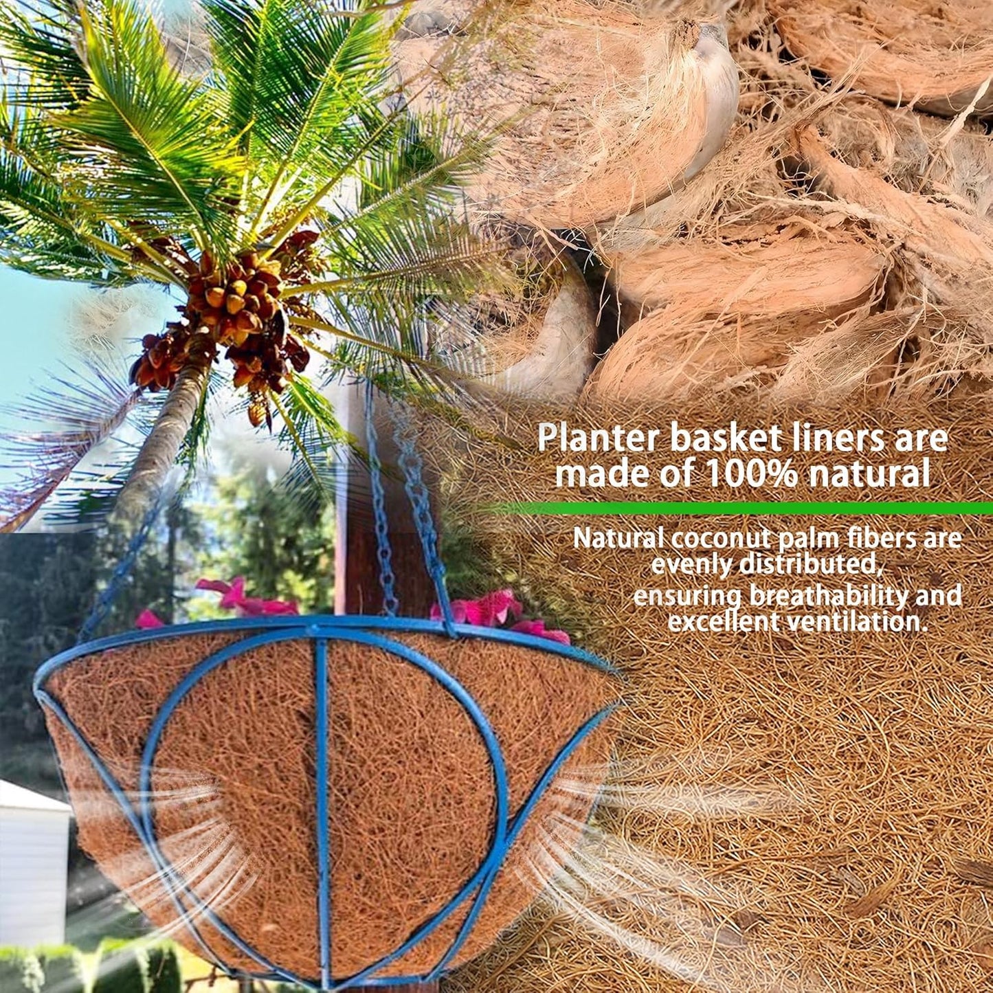 6 Pcs of 12-Inch Hanging Basket Coco Liners Replacement - Natural Round Coconut Fiber Planter Basket Liners for Hanging Basket Flowers