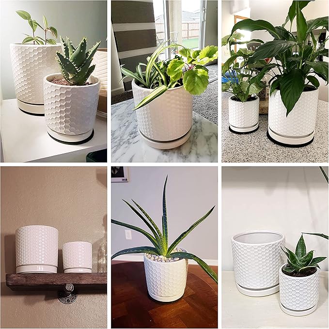D'vine Dev Set of 2 Modern Matte White Honeycomb Embossed Ceramic Planter Pots with Saucer and Drainage Hole, 4 Inch & 6 Inch, 99-C-1-N