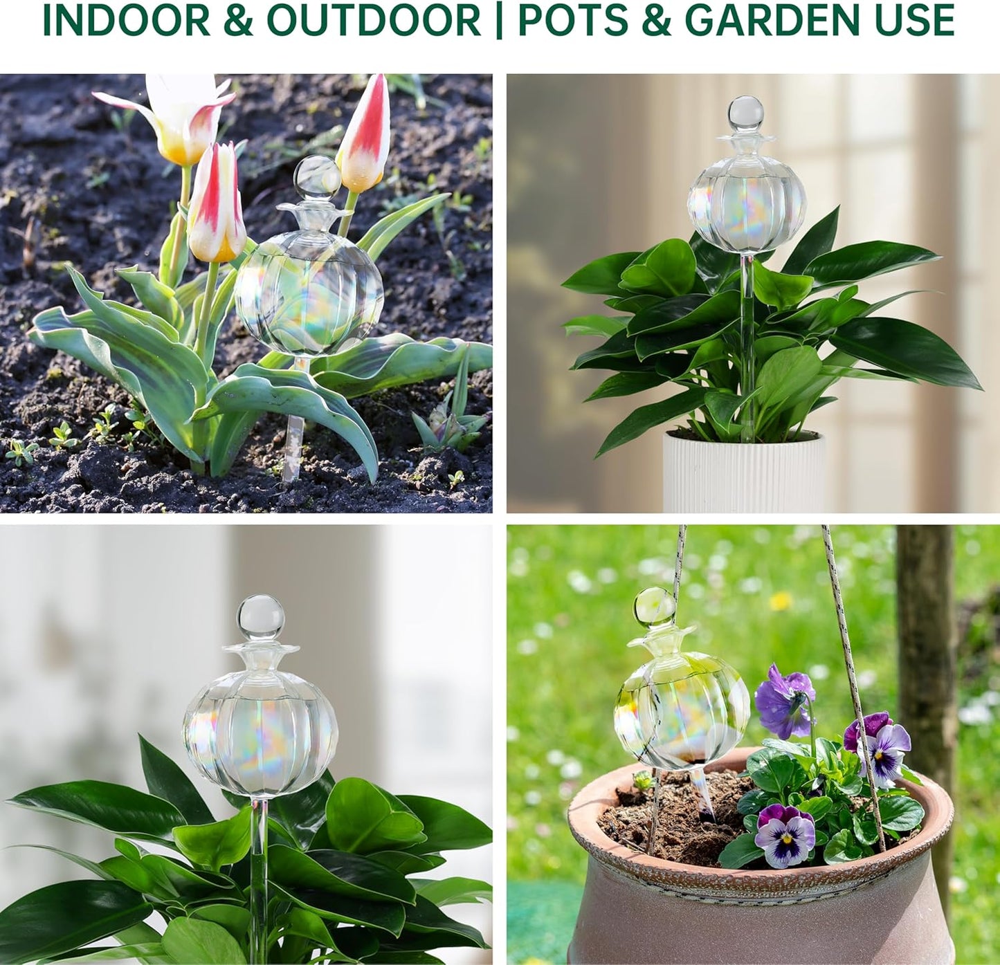 10 oz Large Top Fill Cactus Plant Self Watering Globes, Light Iridescent Glass Water Bulbs, Slow Release Watering Devices System Indoor | Outdoor Everyday Use, Water Spikes Stakes, 2 Pack