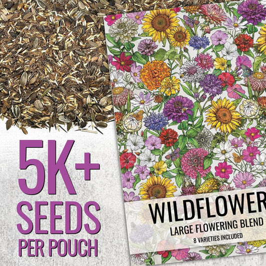 Seed Needs Garden Flower Seeds Large Blooms Mix Hummingbird and Butterfly | 2 Packs (1 Ounce Each) No Filler 7 Varieties Open Pollinated | Resealable Package Live Wild Flower Seed | Bulk