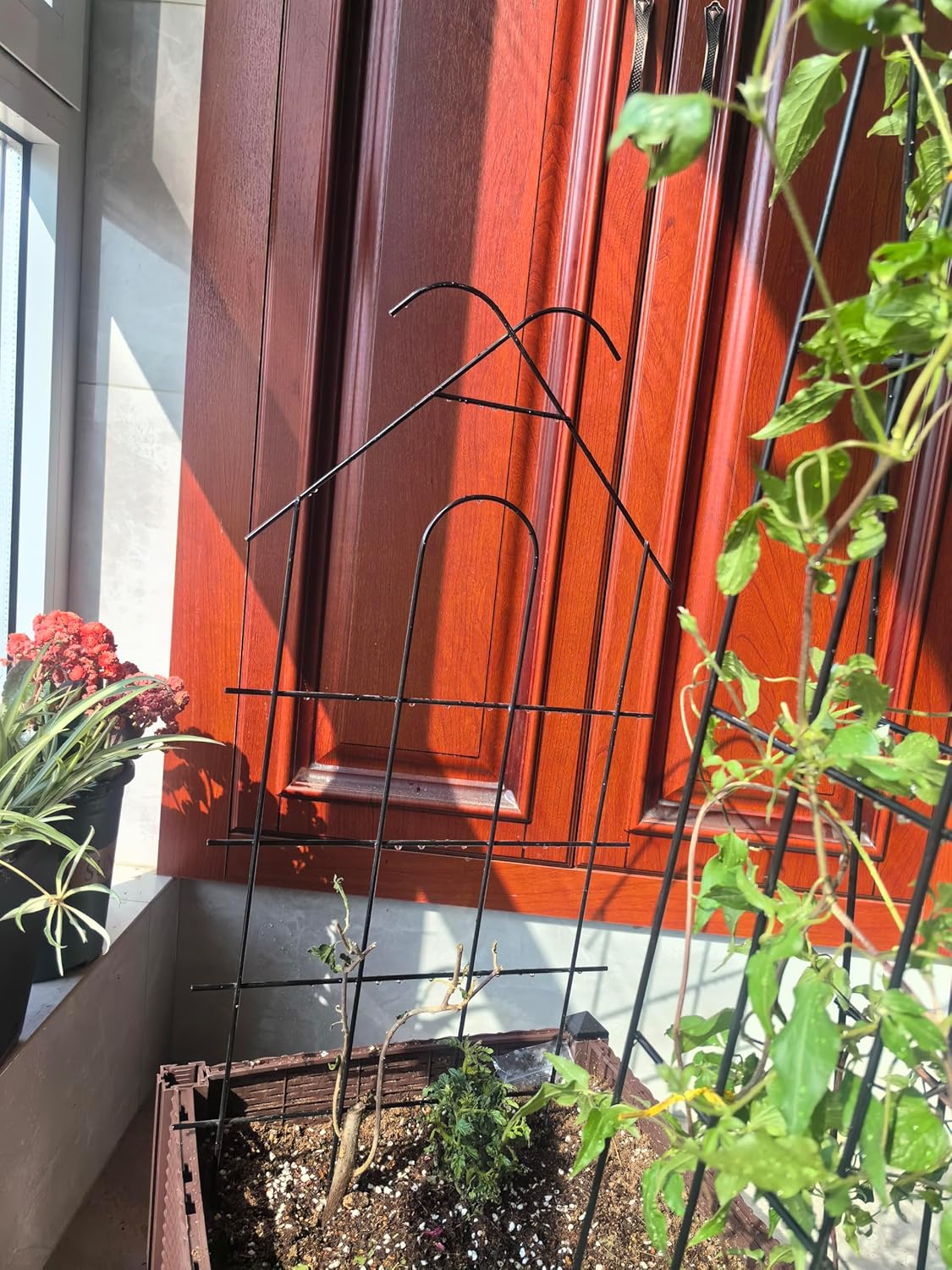 ARIFARO 24'' Metal Garden Trellis Indoor/Outdoor Sturdy Plant Trellis for Potted Plants,House Plants, Climbing Vines, Pack of 4, Black