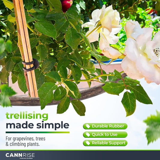 Anchor Rubber Bands for Trellising – 70 Pack of 8 cm/3.14 inches Rubber Bands for Outdoor Plant Support, Climbing Plants, Grape Vines, Trees – UV-Protected, Elastic, Multi-Purpose Use