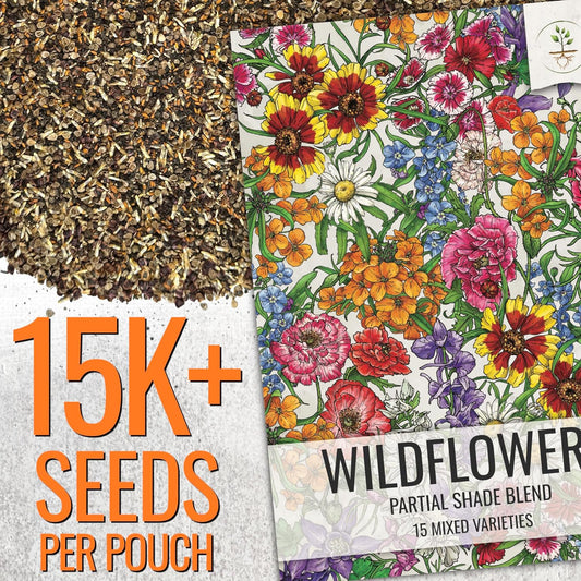 Seed Needs Partial Shade Wildflower Seed Mix for Planting | 2 Packs (1 Ounce Each) 14+ Varieties Open Pollinated Annual & Perennial Species | Flower Seeds Shade Tolerant | Bulk