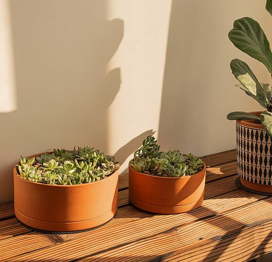 D'vine Dev 8 Inch Succulent Terracotta Shallow Pot with Drainage Hole and Saucer, Round Cylinder Planter Pot for Plant Flower, 40-Y-A-0