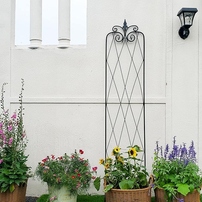 2 Pack 71" H x15 W Trellis,Black Garden Trellis for Climbing Plants Outdoor Metal Frame Sturdy Trellis for Rose