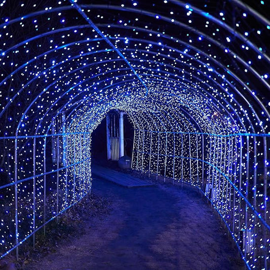 Solar String Lights for Outside, 39Ft 100 LED Solar String Lights Outdoor with 8 Modes,Solar Lights for Outside Waterproof for Yard, Fence,Balcony, Party,Christmas Tree Decorations (Blue&White)