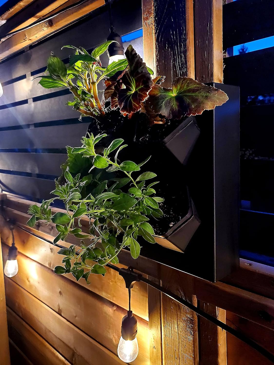 Self-Watering Wall-Mounted Planter Indoor/Outdoor Decor with 4 Pots, Easy to Use Living Wall Planters to Create Vertical Garden, Vertical Planter for Home(White)