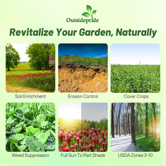 Outsidepride Gardenway Cover Crop Seeds - 5 lbs Nutrient-Rich Seed Mix for Soil Health Improvement & Home Gardens - Mixture of Triticale, Peas, Oats, Vetch, Annual Ryegrass, Crimson Clover