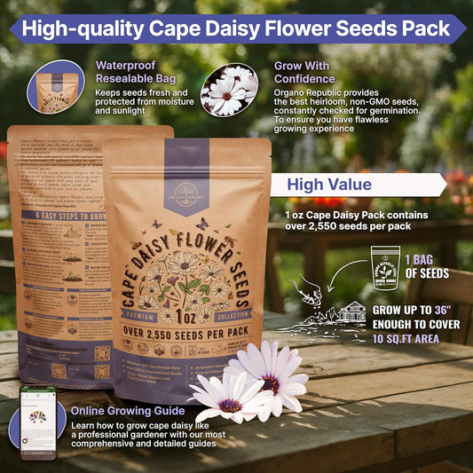 Cape Daisy Flower Seeds Pack 1 oz - Over 2,550 Non-GMO Heirloom Cape Daisy Seeds for Planting, Perennial Flowers in Individual Seed Packet, Seed for Planting Home Garden Indoor & Outdoor Gardening