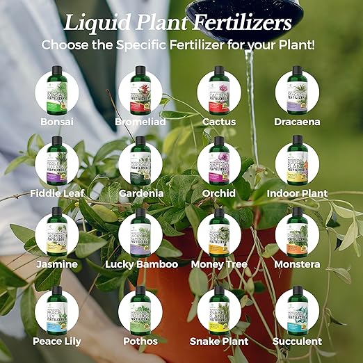 Professional Liquid Lucky Bamboo Fertilizer | 3-1-2 Concentrate for Flowering Plants | Multi-Purpose Blend & Gardening Supplies | 8 oz Bottle