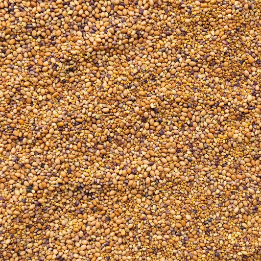 Clover Trio Seed Blend – Premium 5 Lb Bulk ~896,000 Seeds – Red, White & Crimson Clover – Cover Crop & Soil Enrichment Mix