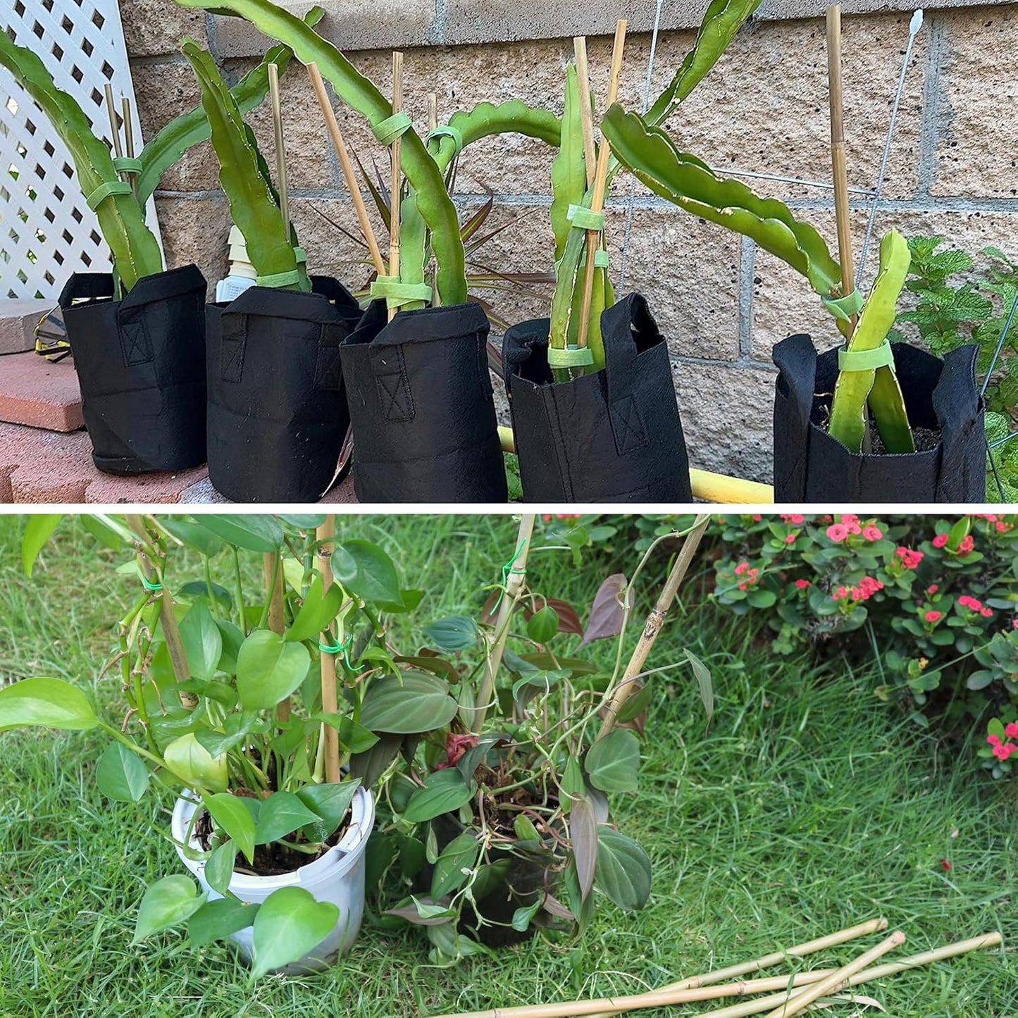 50Pcs / 18 inch Bamboo Plant Stakes for Indoor Outdoor Plants, Garden Plant Support Sticks, Poles for Tomato Vegetables Beans Trees Potted Climbing Plants(0.32''-0.4'')