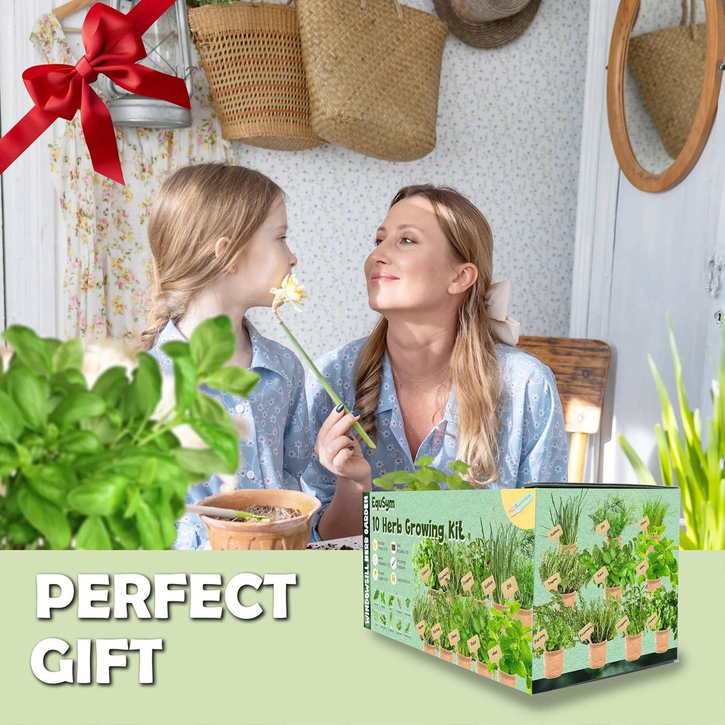 5 Herb Window Garden Kit Indoor - Herb Seeds for Indoor & Outdoor Planting, Gardening Gift for Kids, Moms, Women, Beginners - Complete Starter Kit with Pots, Soil, Basil, Mint, Thyme, Parsley