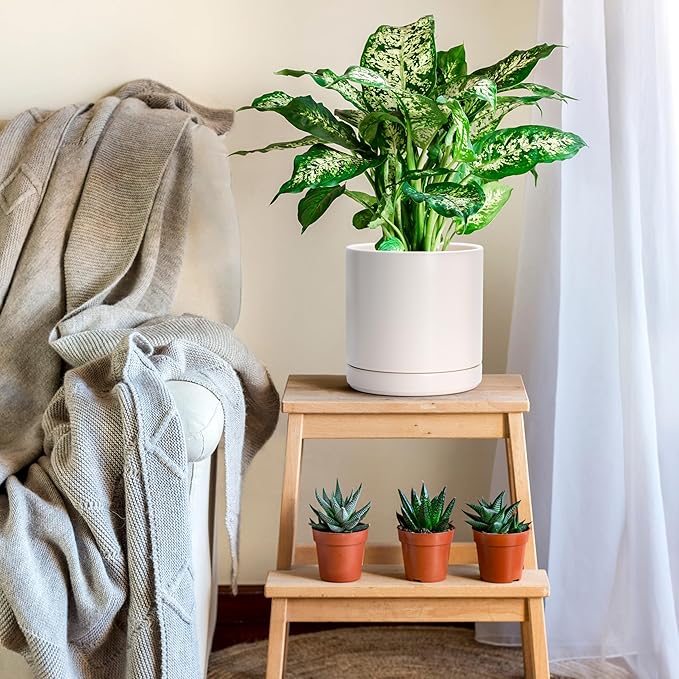 D'vine Dev Set of 2 Plants Pots, 8.2 Inch Ceramic Planter Pot for Plants with Drainage Hole and Saucer, Oatmeal, 94-V-D-8