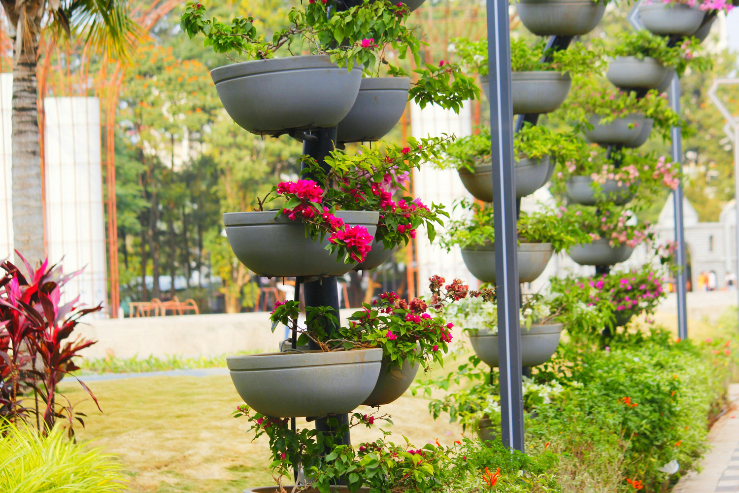 Decoration & Accents