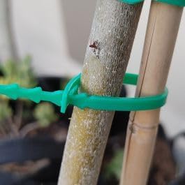 Rocky Mountain Goods Garden Ties - 30 Pack of 8” Heavy Duty Plant Ties for Tomatoes, Climbing Plants, Roses, Vines, Vegetables - Easy Snap Together Design