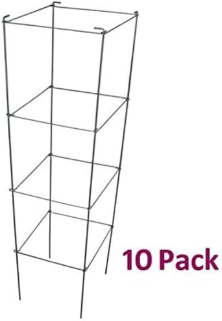 Galvanized Square Folding Tomato Cage Plant Support Stake Tower 12 inch by 46 inch, Pack of 10 Sets(Also Sold as Pack of 2 & 5,PVC Green is Available)