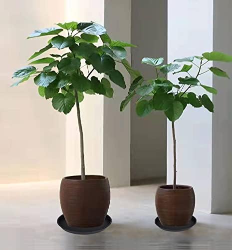 6 Pack 10 inch Plant Saucer, Heavy Duty Plastic Plant Saucers 10 inch Round, Durable Plant Tray for Pots, Flower Saucers for Indoors, Plant Pot Saucers, Trays for Planter 8"/9"/10" (Black)