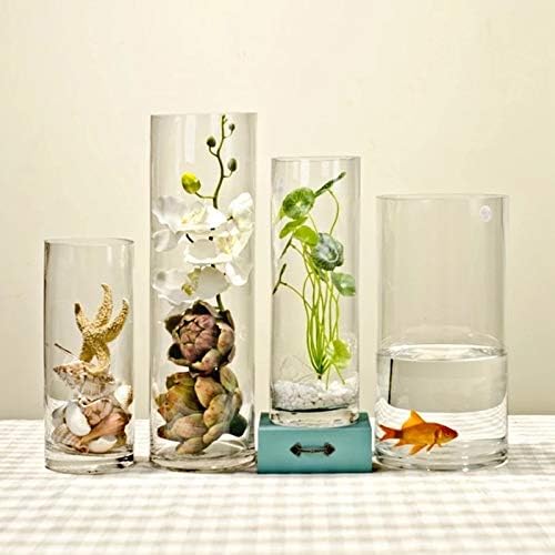 Kingbuy Glass Tube Wall Planter Propagation Station - 4 Pack Terrarium Cylinder Wall Vase with Plant Holder Hydroponic Planter for Home Kitchen Office Decor, Perfect Plant Lover Gifts (Short Cylinder)