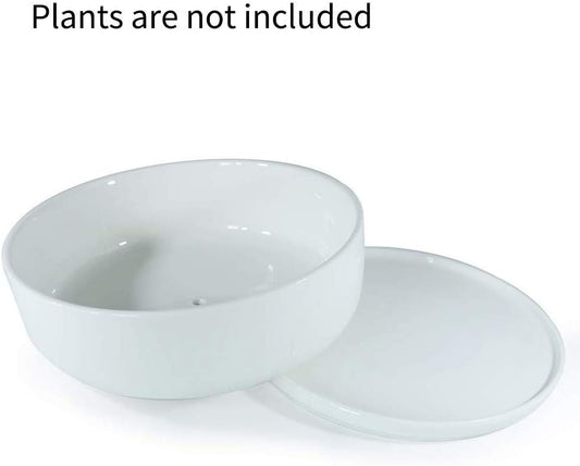 SQOWL 8 inch White Round Ceramic Succulent Planter Pot Modern Flower Cactus herb Big Planter with Removable Saucer Indoor or Outdoor