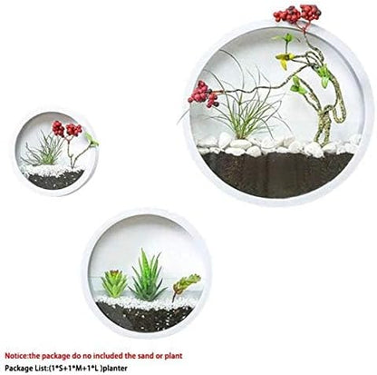 3 Pack Set Wall Planters,Modern Round Glass Wall Planter Succulent Planter Circle Iron Hanging Planter Vase for Herb,Small Cactus Perfect for Balcony, Room and Patio Decor (White)