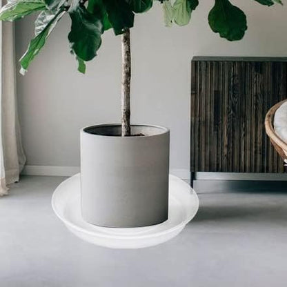 4 Pack of 14 inch Plant Saucers Bird Bath Bow Round, Plastic Plant Saucer Tray for Pots, White Planters for Indoor Plants, Plant Trays for Planter 12-15" (14", Clear)