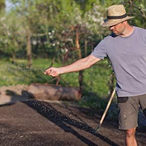 Crimson Clover Seeds (Coated) - 1 oz - Garden Cover Crop, Non-GMO, Open Pollinated, Perennial, Heirloom - Coated for Easy Planting