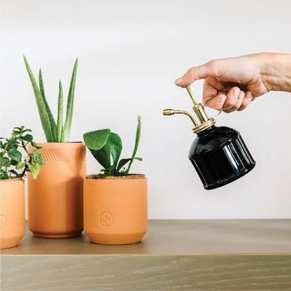 Modern Sprout Plant Mister, 8 oz Indoor Watering Can, Aesthetic Plant Sprayer & Water Mister Spray Bottle, Garden Watering Can for Seed Starting, Vintage-Inspired Gift for Green Lovers - Black