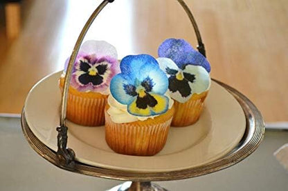 Sugar Robot - Edible Pansies for cake decorating - Small Size - Edible flowers cake decorations - Premium Crafted - Made in the USA Cake -Set of 12 (Pansies)