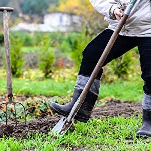 Crimson Clover Seeds (Coated) - 1 oz - Garden Cover Crop, Non-GMO, Open Pollinated, Perennial, Heirloom - Coated for Easy Planting