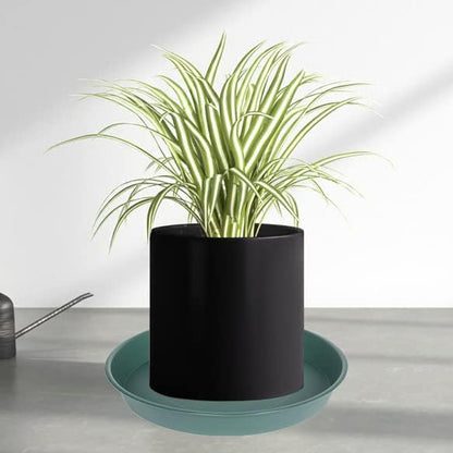 6 Pack Plant Saucer Tray Green, 4 6 8 10 12 13 15 17 19 inch Pot Saucers, Heavy Duty Plastic Plant Saucers for Indoors, Plant Drip Tray, Plant Trays for pots Planter (6", Green)