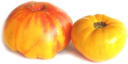 Clovers Garden Heirloom Pineapple Tomato Plants- Two (2) Live Plants – Non-GMO - Not Seeds – Each 4"-8" Tall in 4 Inch Pots - Indeterminate, Disease Resistant